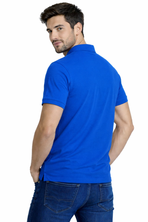 Koszulka polo męska krótki rękaw chabrowa widok z tyłu.png